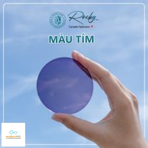 Tròng Kính Đổi Màu Rocky Trendy 
