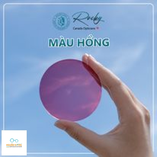 Tròng Kính Đổi Màu Rocky Trendy 