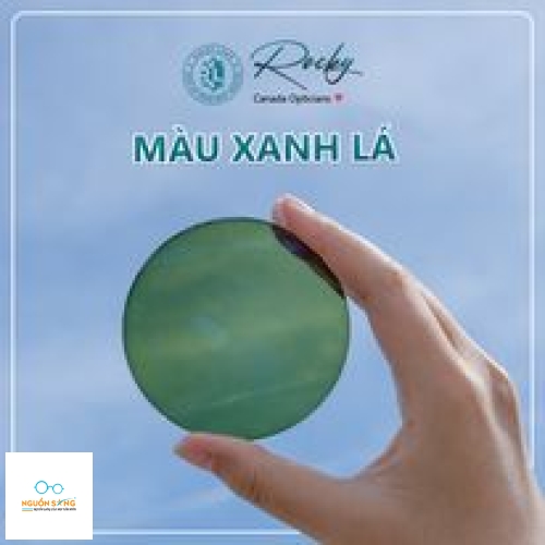 Tròng Kính Đổi Màu Rocky Trendy 