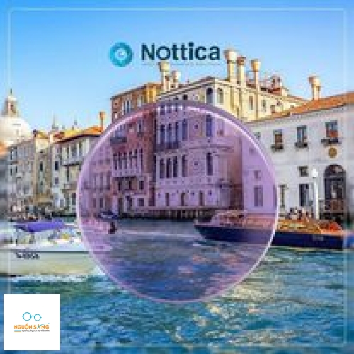 Tròng Kính Đổi Màu Nottica 1.61