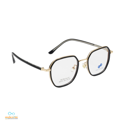 Gọng Kính Nhựa Kim Loại DoDo