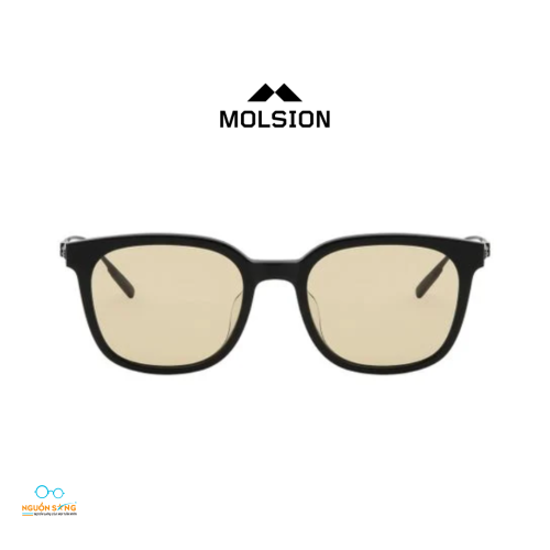 Kính Mát Molsion 