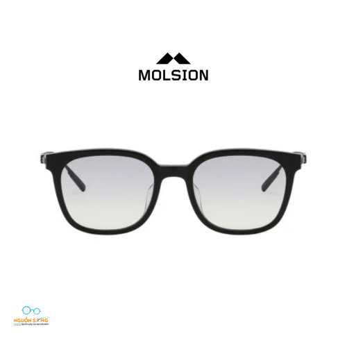 Kính Mát Molsion 
