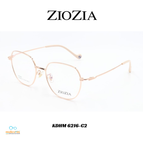 Gọng Kính Ziozia Kim Loại 