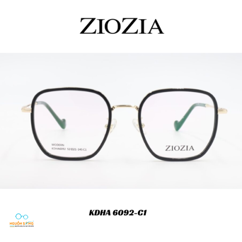 Gọng Kính Ziozia Kim Loại 