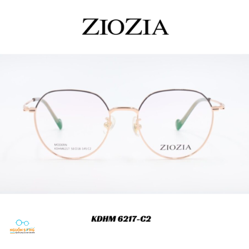 Gọng Kính Ziozia Kim Loại 