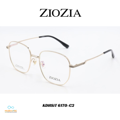 Gọng Kính Ziozia Kim Loại 