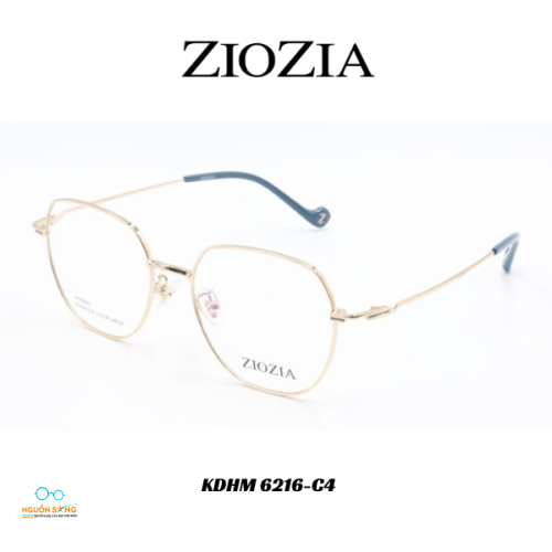 Gọng Kính Ziozia Kim Loại 
