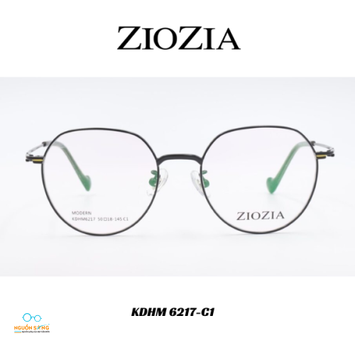 Gọng Kính Ziozia Kim Loại 