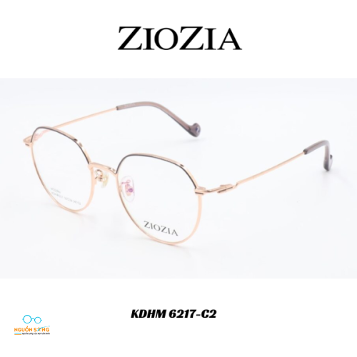 Gọng Kính Ziozia Kim Loại 