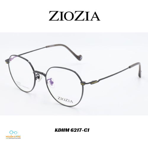 Gọng Kính Ziozia Kim Loại 