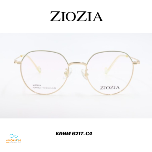 Gọng Kính Ziozia Kim Loại