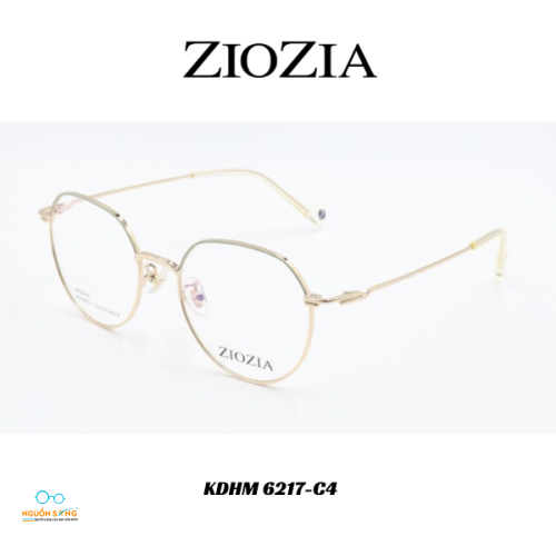 Gọng Kính Ziozia Kim Loại
