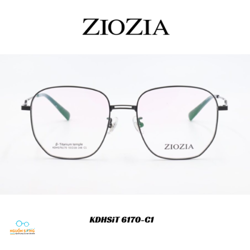 Gọng Kính Ziozia Kim Loại 