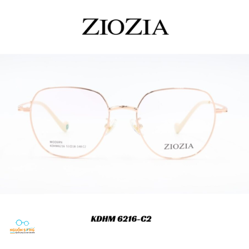 Gọng Kính Ziozia Kim Loại 